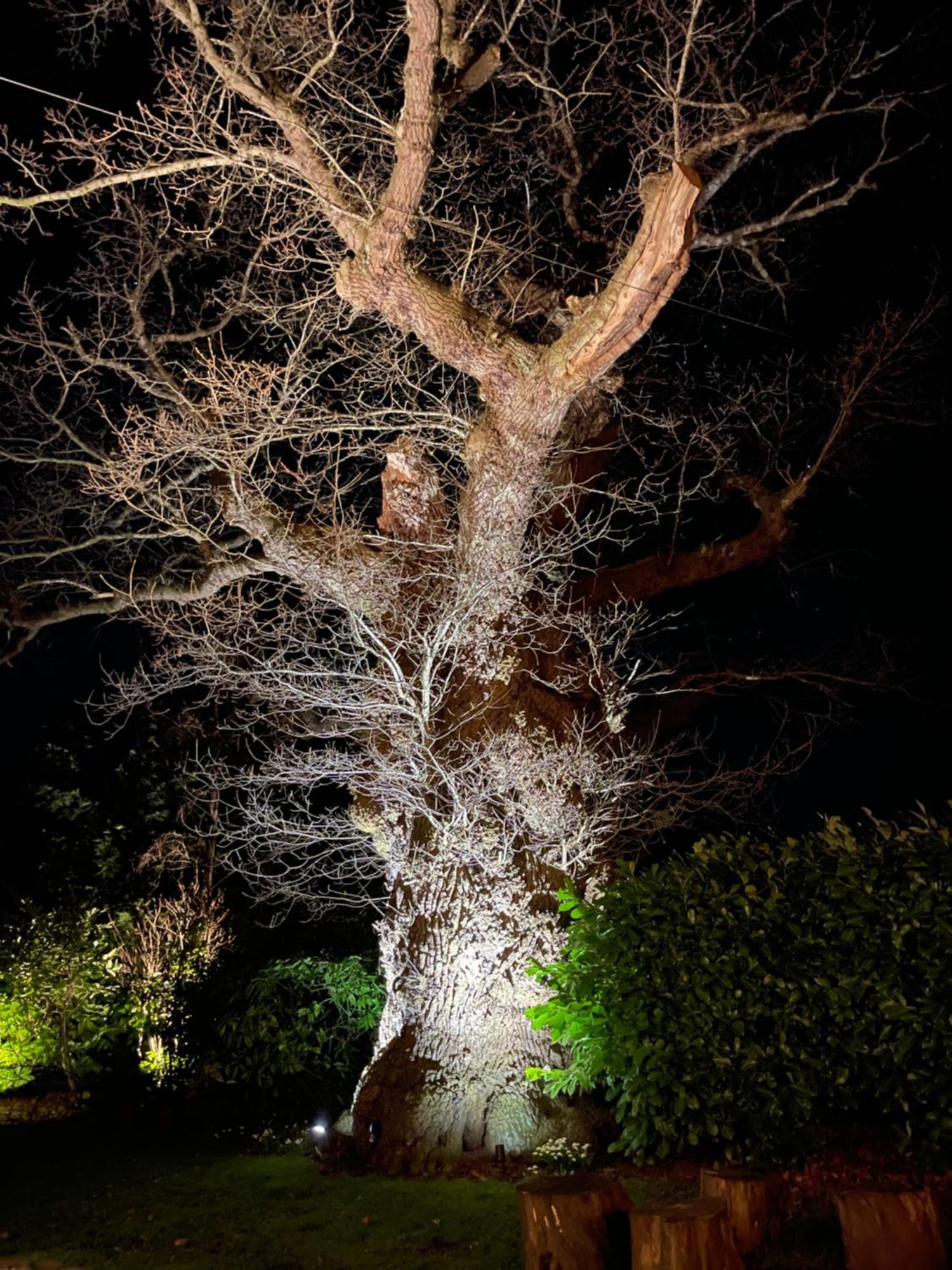Oak Tree Hideaway Villa Whitchurch  Eksteriør bilde